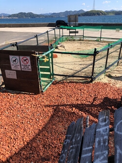 ハンバーガー&タコライス オーツー