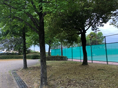 広島市西区にある竜王公園わんわんスペースドッグラン