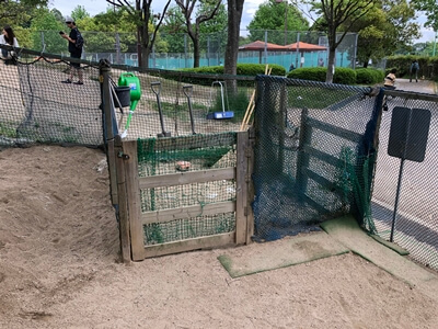 広島市西区にある竜王公園わんわんスペースドッグラン