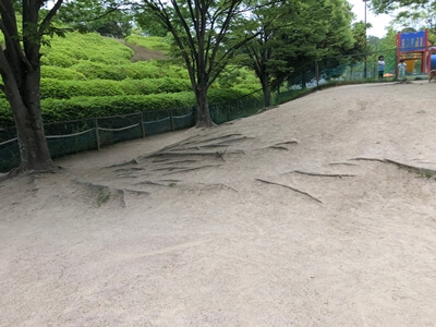 広島市西区にある竜王公園わんわんスペースドッグラン