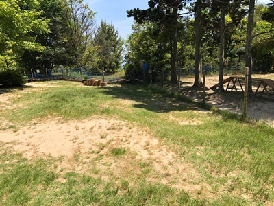 広島市東区にあるひろしま遊学の森ドッグラン