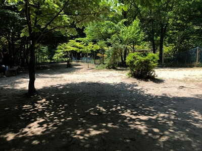 広島市東区にあるひろしま遊学の森ドッグラン