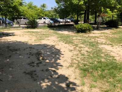 広島市東区にあるひろしま遊学の森ドッグラン